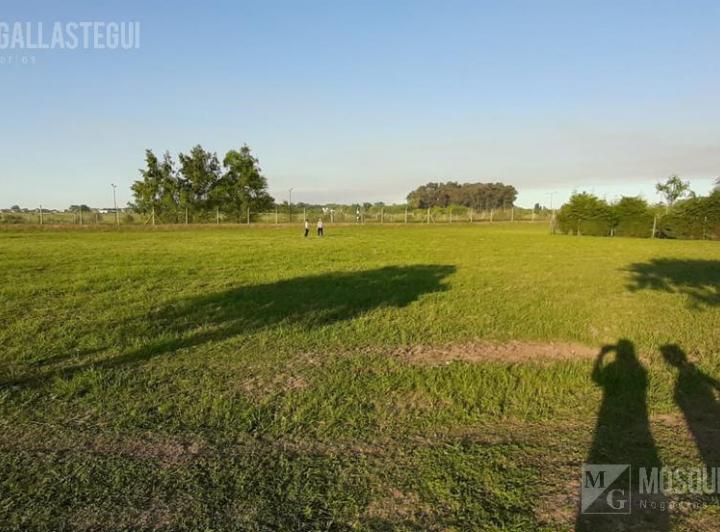 Terreno · 813m²