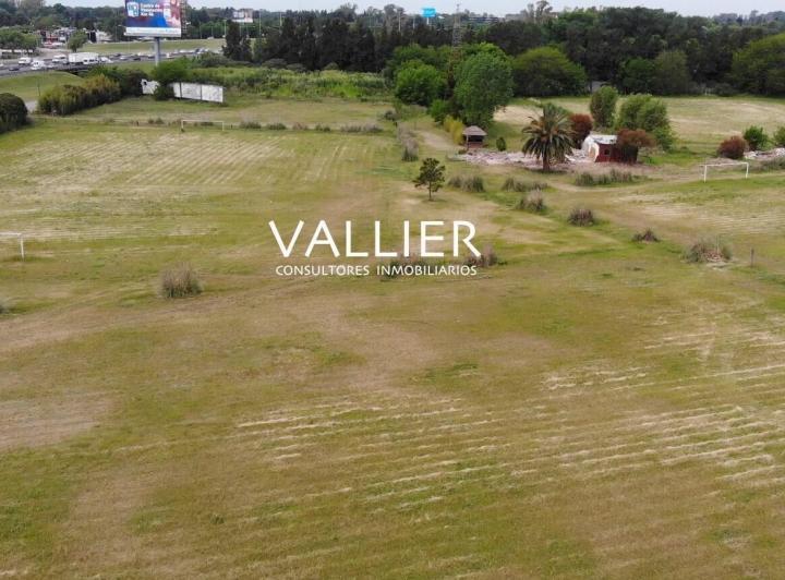 Terreno · 14745m²