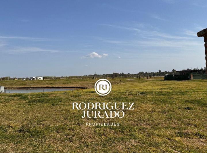 Terreno · 1039m²