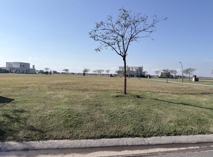 Terreno · 742m²