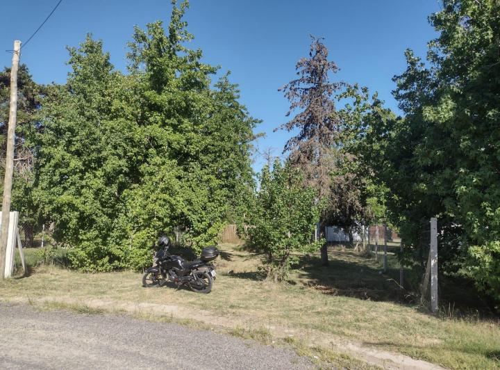 Terreno · 335m²