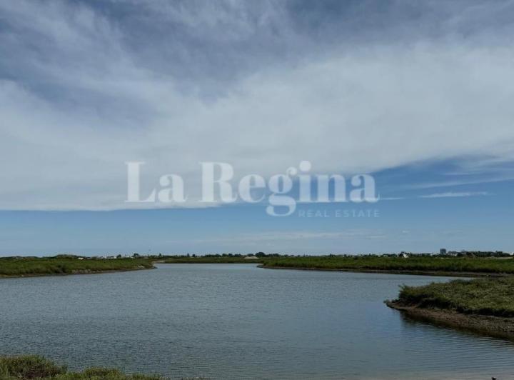 Terreno · 1001m²