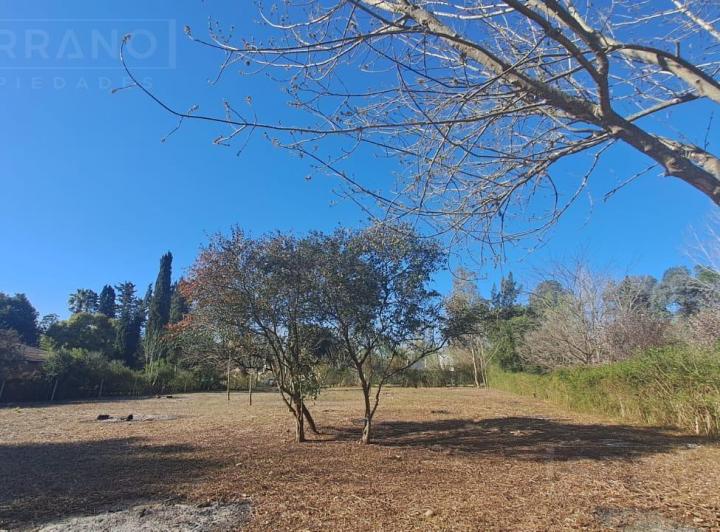 Terreno · 2736m²