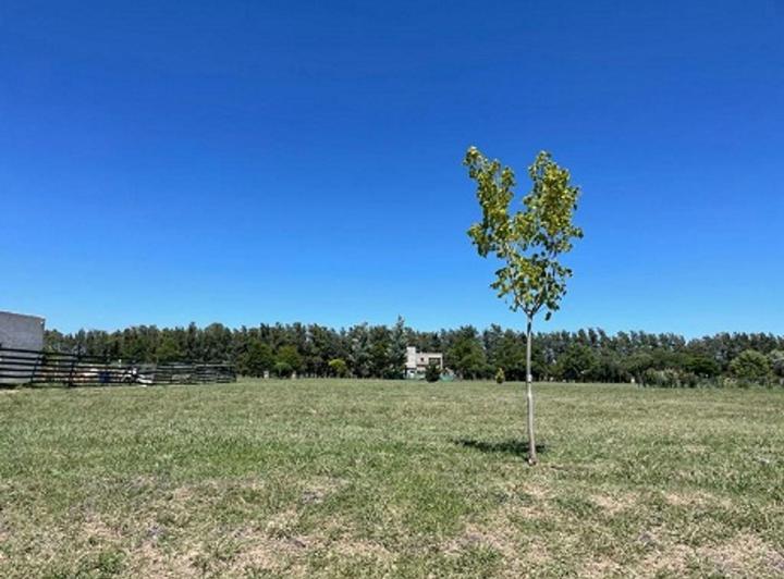 Terreno · 1123m²
