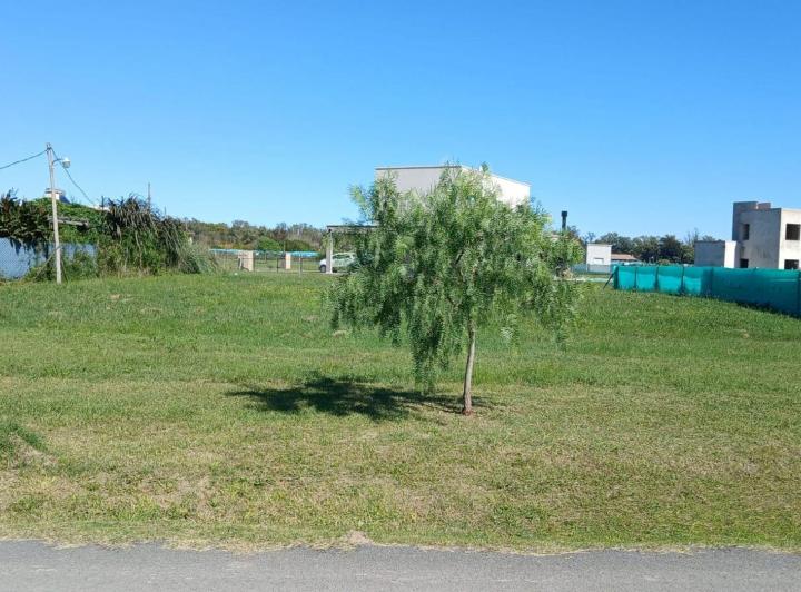 Terreno · 840m²
