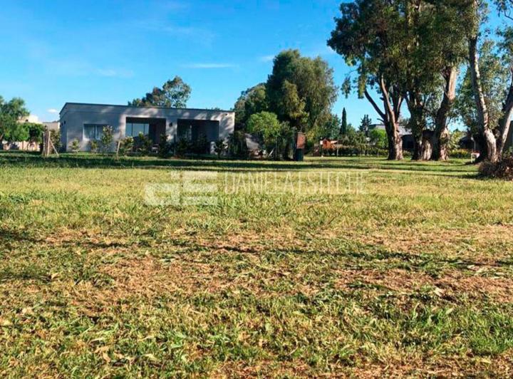 Terreno · 555m²