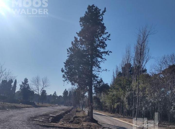 Terreno · 300m²