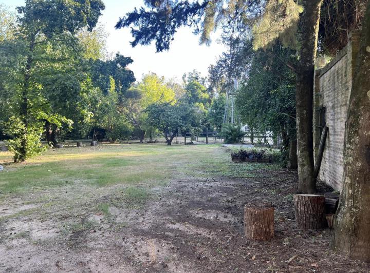 Terreno · 12500m²