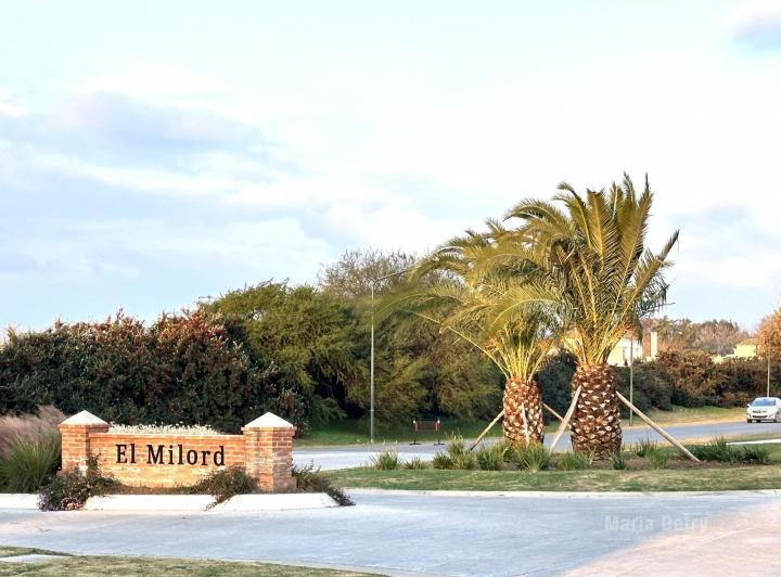 Terreno · 1550m²