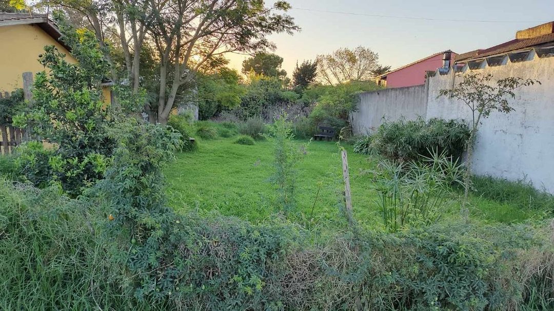 VENTA TERRENO 230M2 LOS TILOS