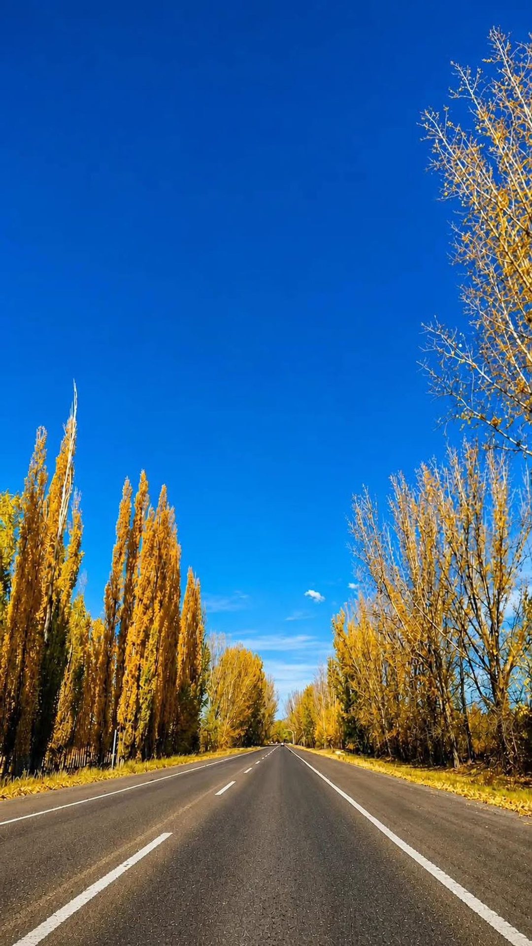 Venta de lote en "El Cepillo" San Carlos