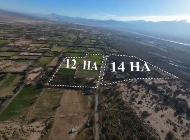 Campo · 26m²