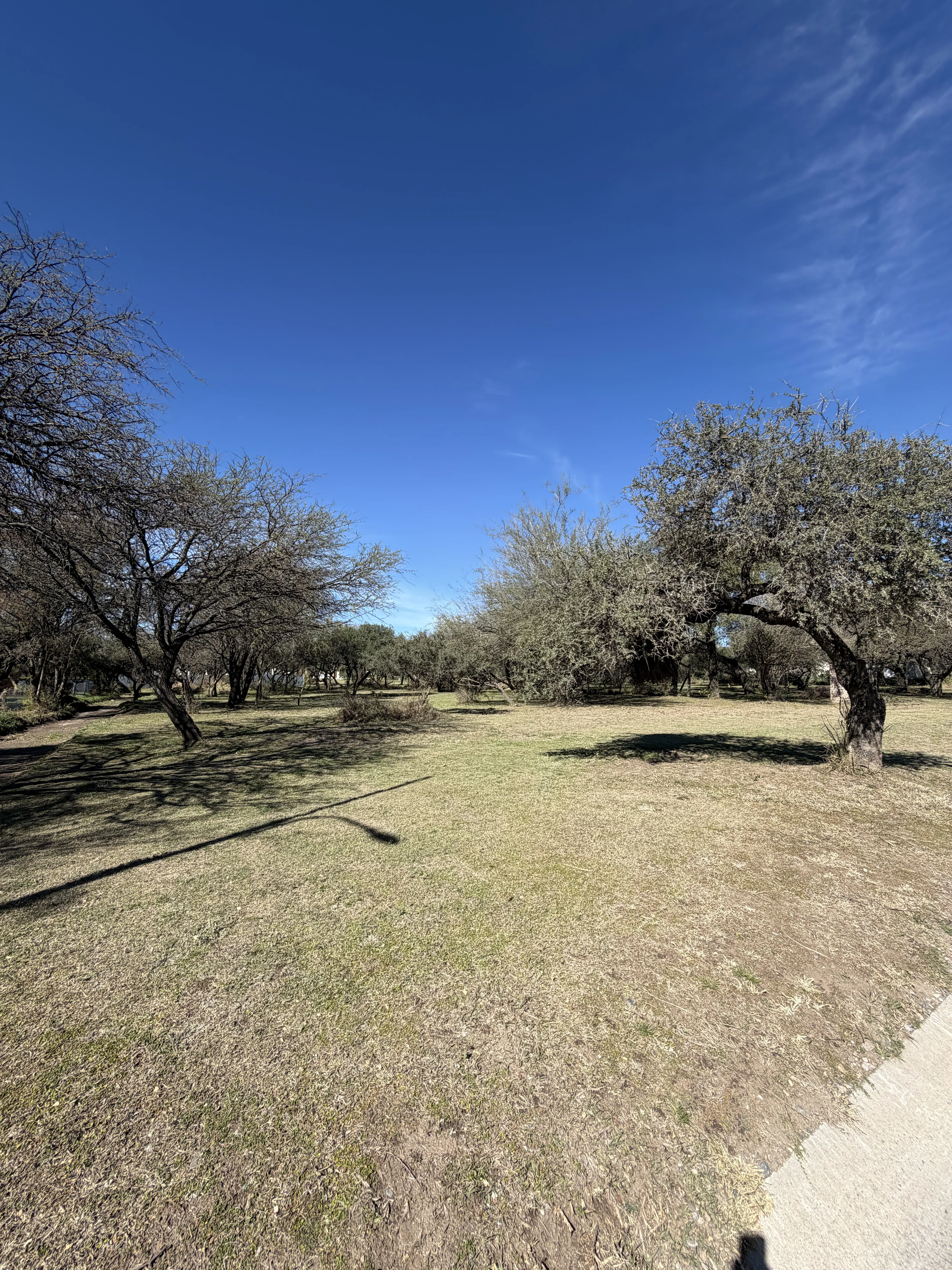 LOTE DE 1.550 M² FRENTE AL GOLF | VALLE DEL GOLF
