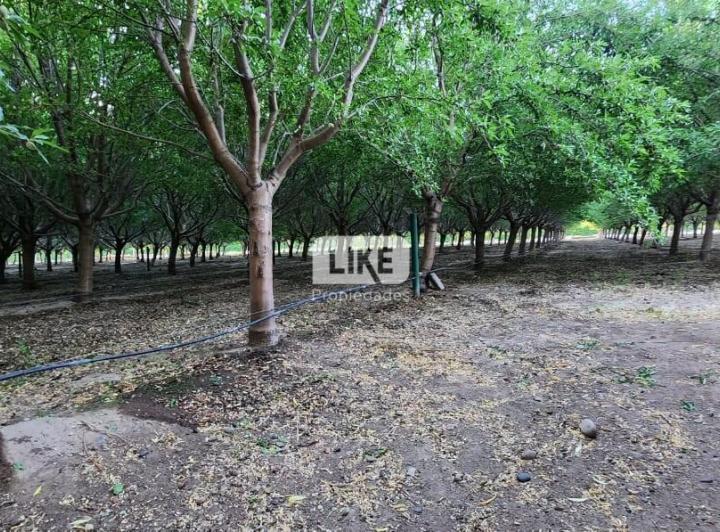Campo · 70m² · 1 Ambiente