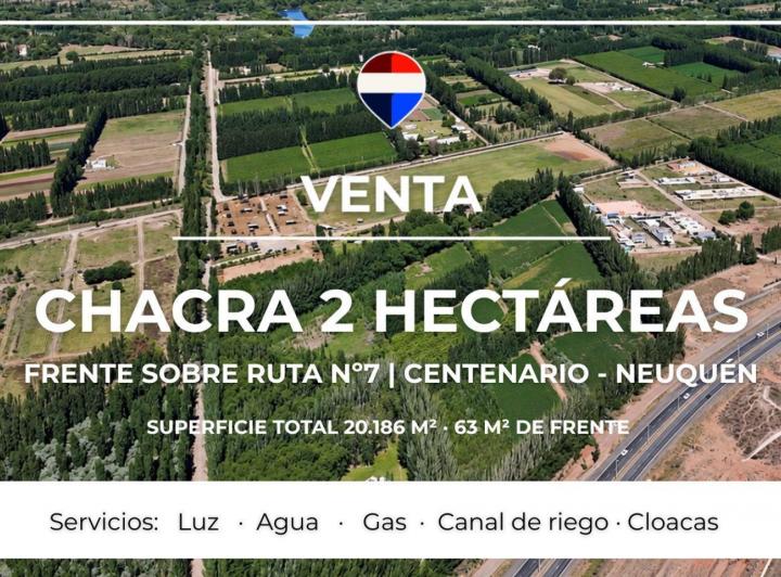 Campo · 2ha