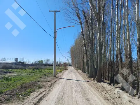 Terreno - allen