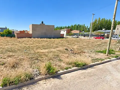 Venta lote meseta añelo nqn