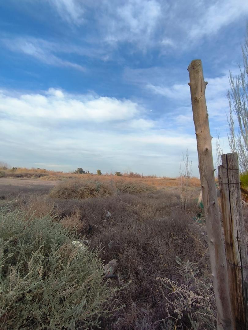 Terreno de 10000 m – los corralitos