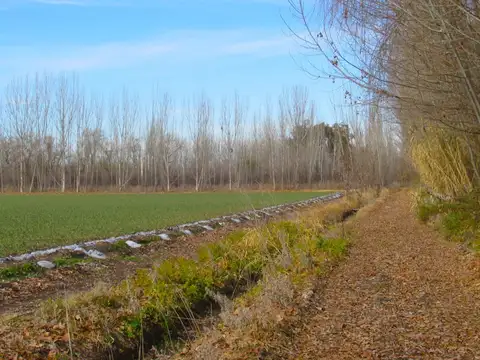 Finca 17 hectreas en venta en tunuyán valle de uco
