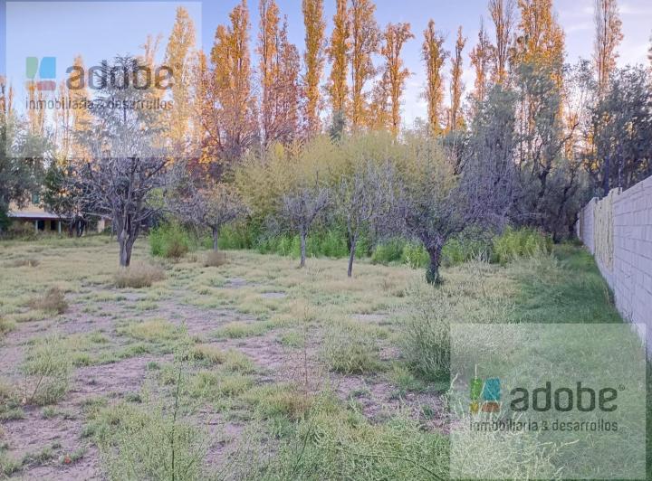 Terreno · 2900m²