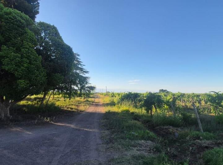 Campo · 57ha