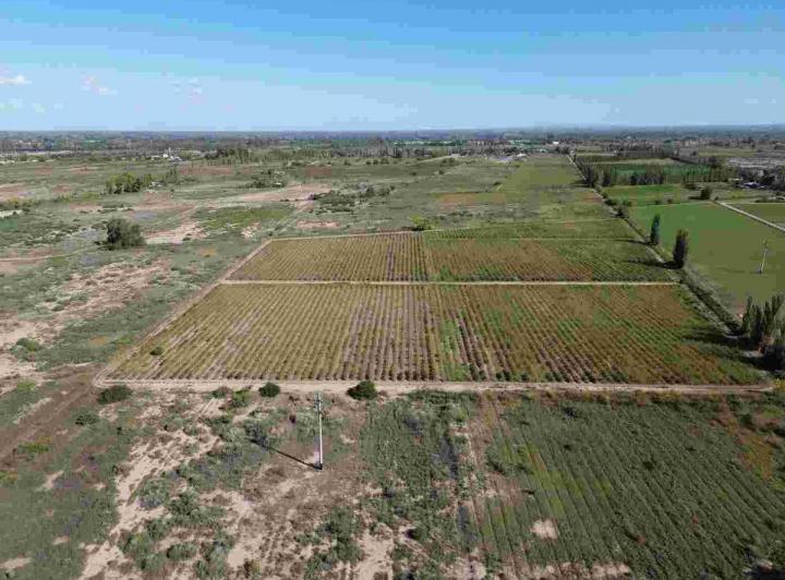 Terreno · 240000m²
