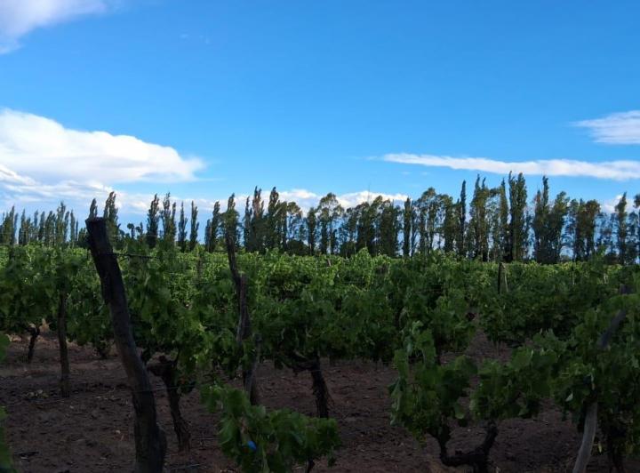 Terreno · 105ha · 4 Ambientes · 1 Cochera