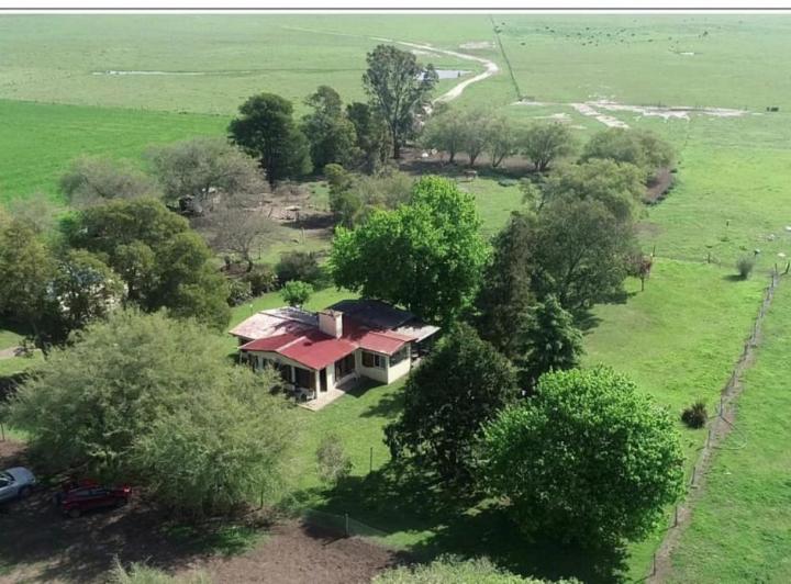 Campo · 560m² · 6 Ambientes