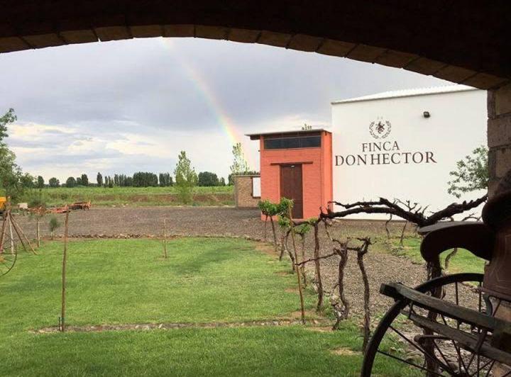 Bodega-Galpón · 1600m²