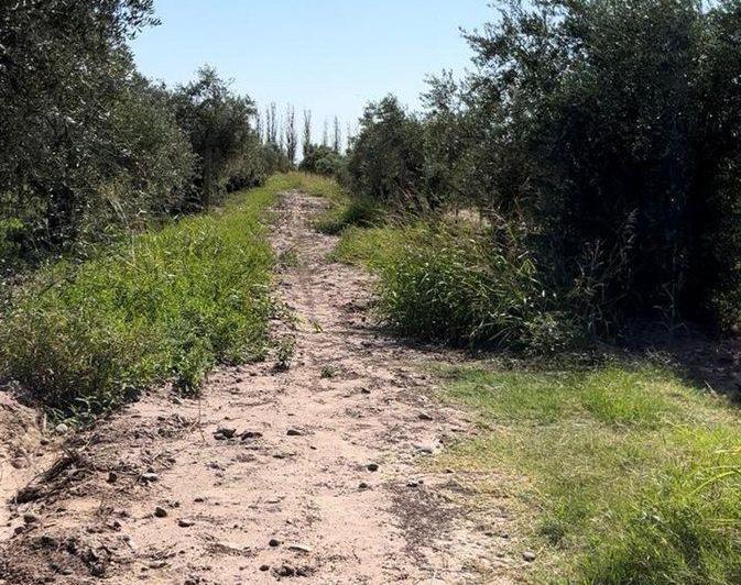 Terreno · 5000m²