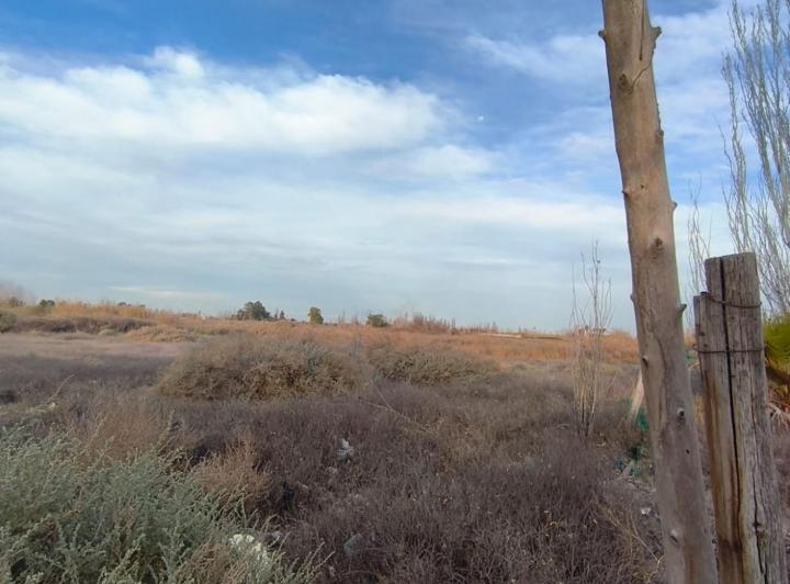 Terreno · 10000m²