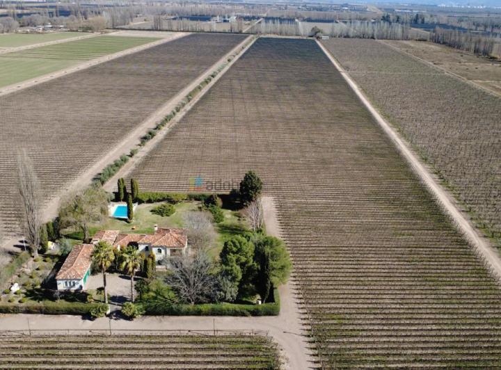 Campo · 96815m² · 4 Dormitorios