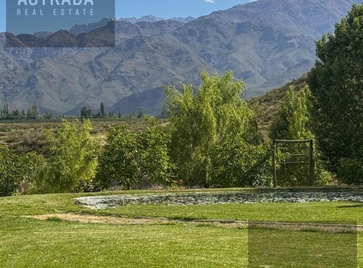 Local comercial · 26100ha