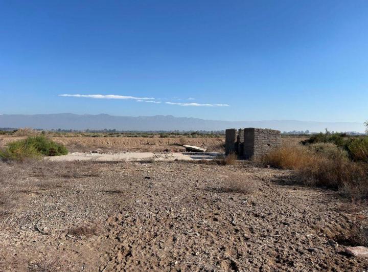 Campo · 17ha