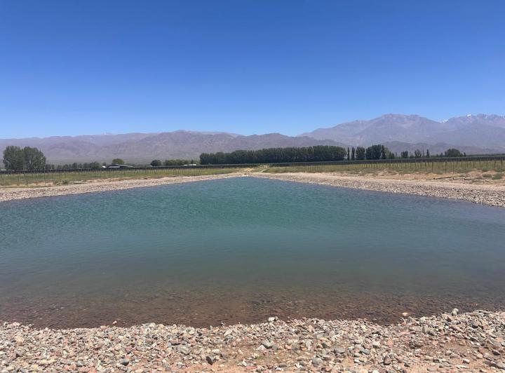 Terreno · 10ha