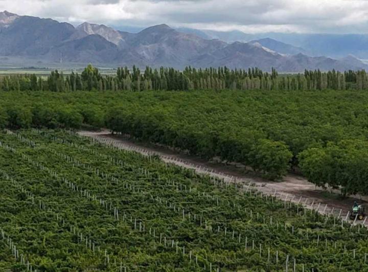 Campo · 740000m²