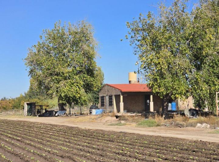 Terreno · 15ha