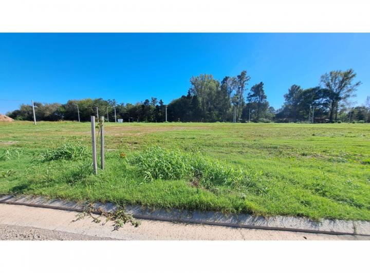 Terreno · 300m²