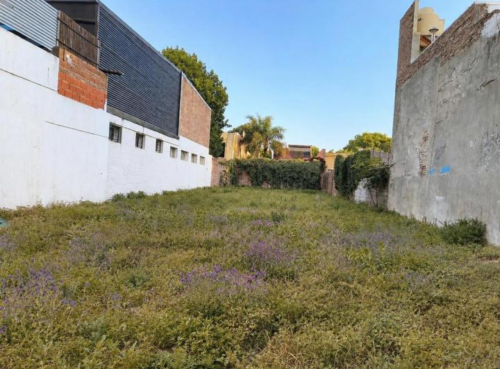 Terreno · 463m²