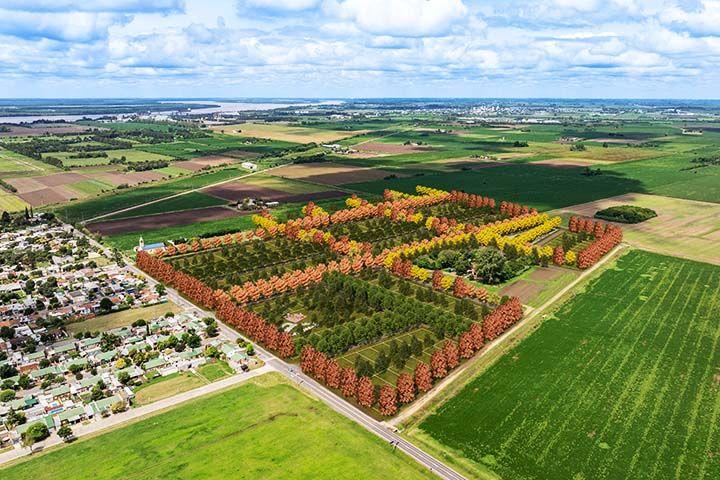 Terreno · 353m²