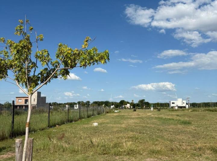Terreno · 428m²