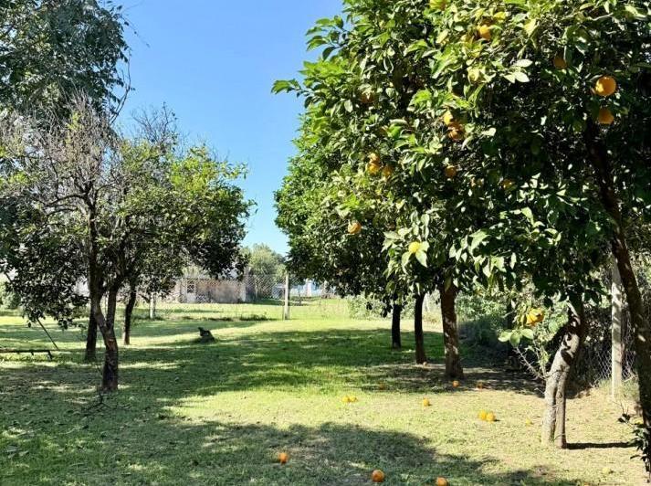 Terreno · 280m²