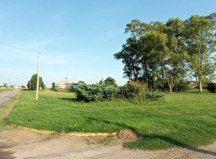 Terreno · 720m²