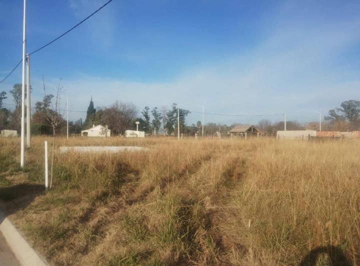 Terreno · 339m²