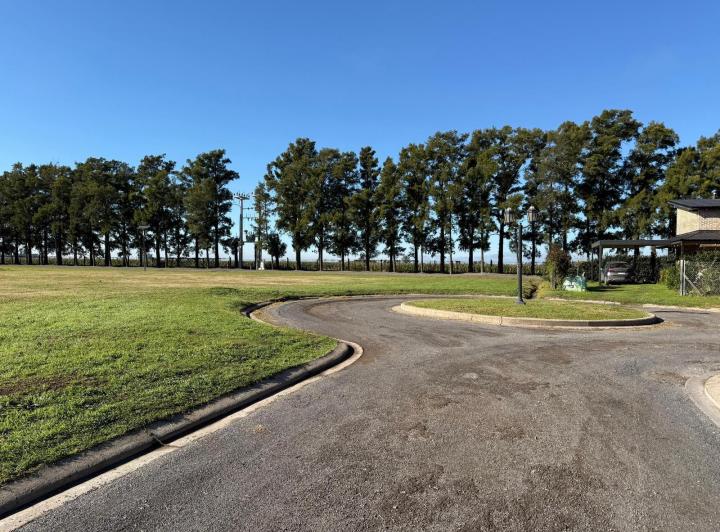 Terreno · 1249m²