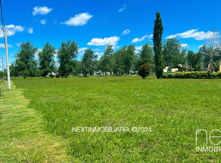 Terreno · 1000m²