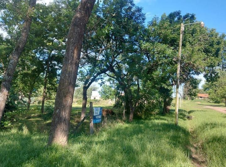 Terreno · 500m²