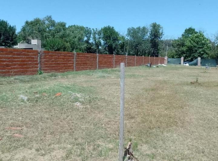 Terreno · 622ha