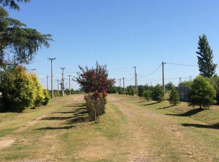 Terreno · 459m²