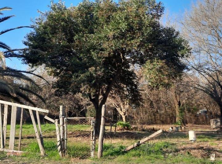 Terreno · 1800m²